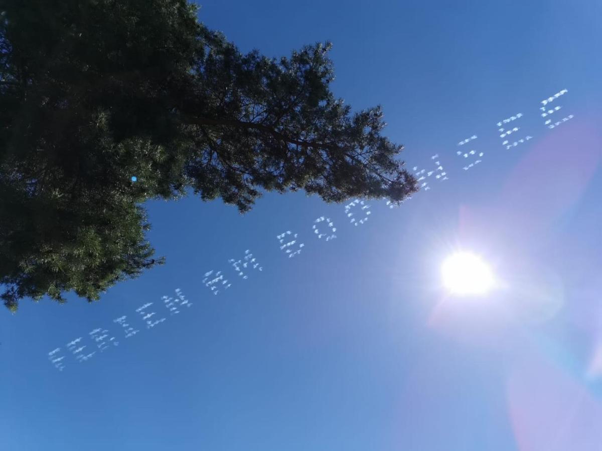 Gaestehaus Zum Landesteg Immenstaad am Bodensee Bagian luar foto