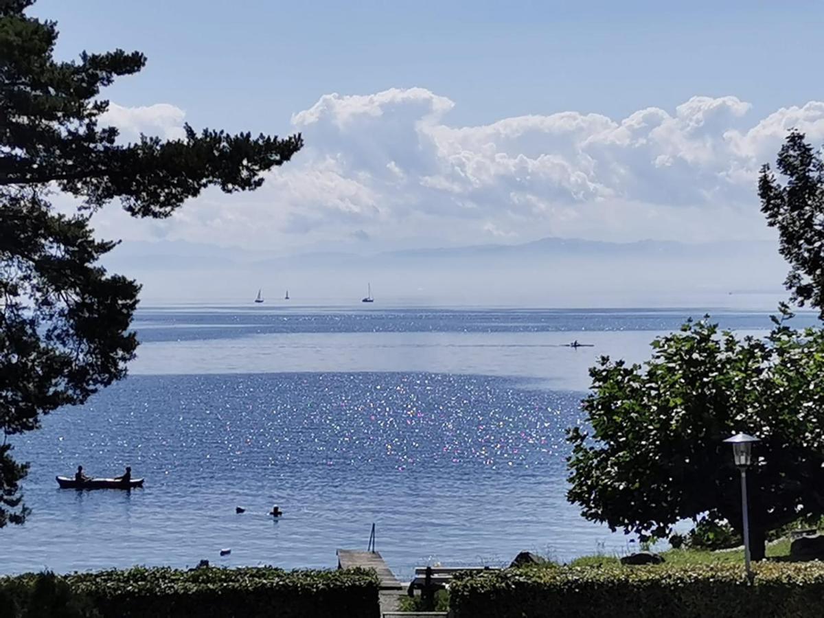 Gaestehaus Zum Landesteg Immenstaad am Bodensee Bagian luar foto