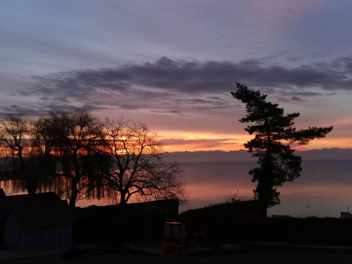 Gaestehaus Zum Landesteg Immenstaad am Bodensee Bagian luar foto