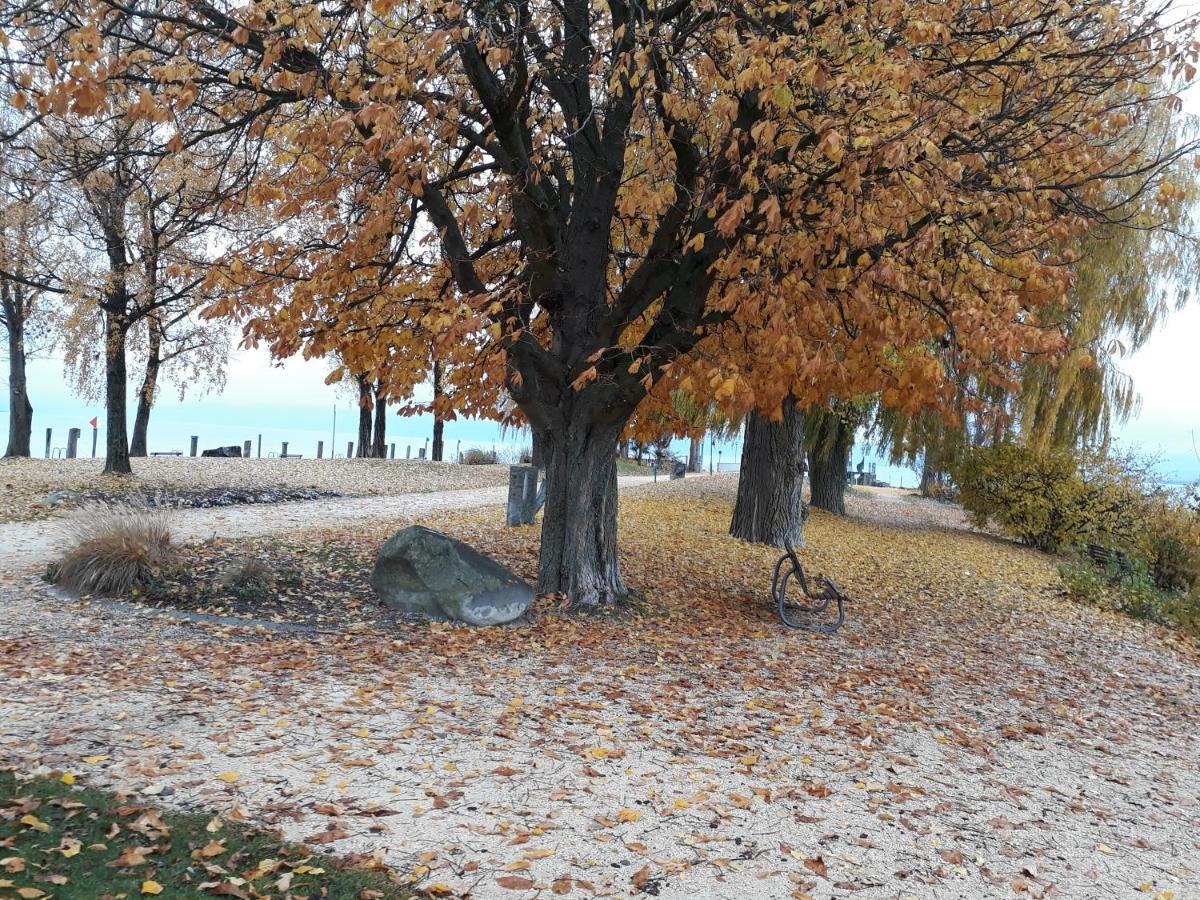 Gaestehaus Zum Landesteg Immenstaad am Bodensee Bagian luar foto