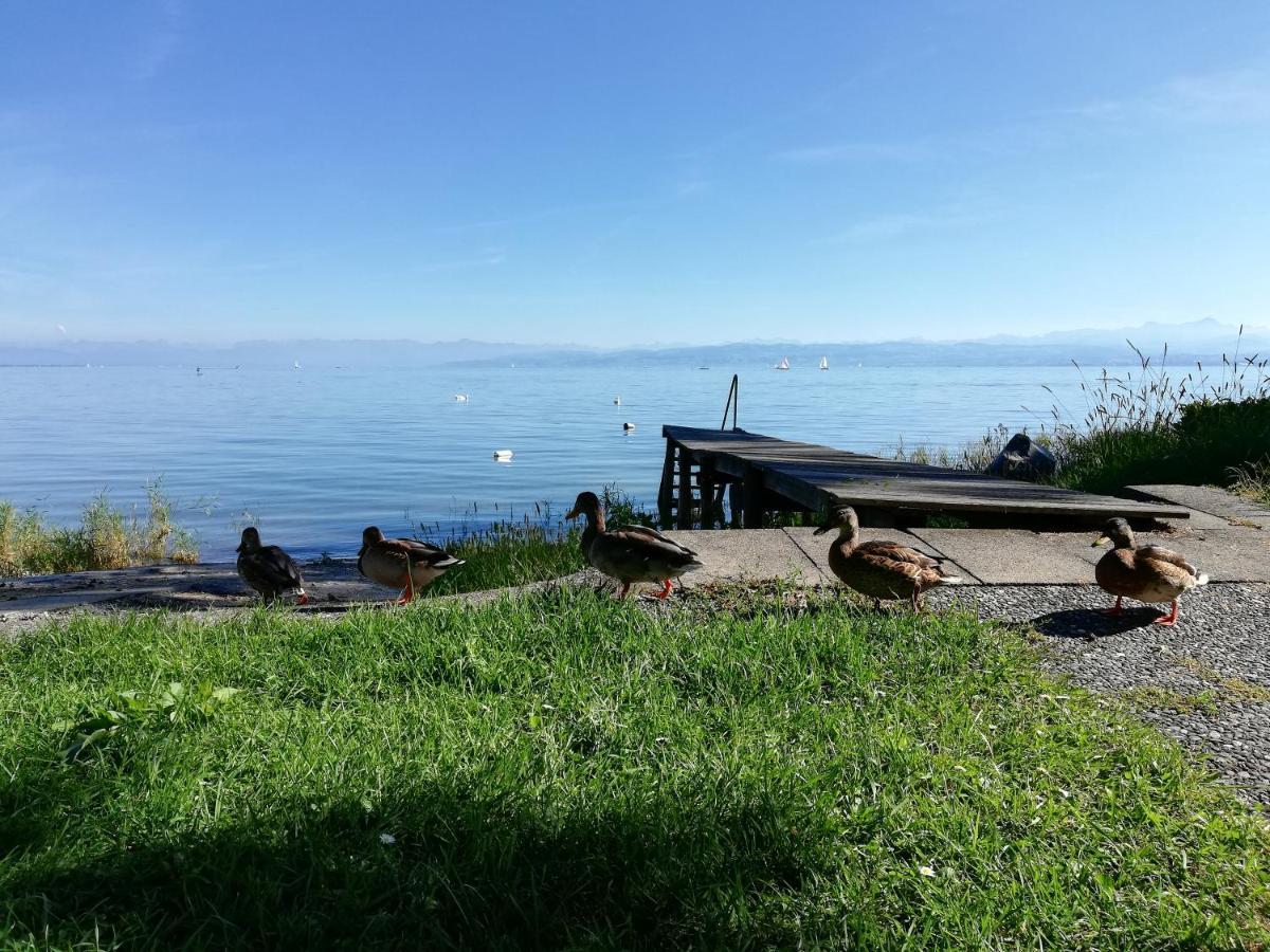 Gaestehaus Zum Landesteg Immenstaad am Bodensee Bagian luar foto