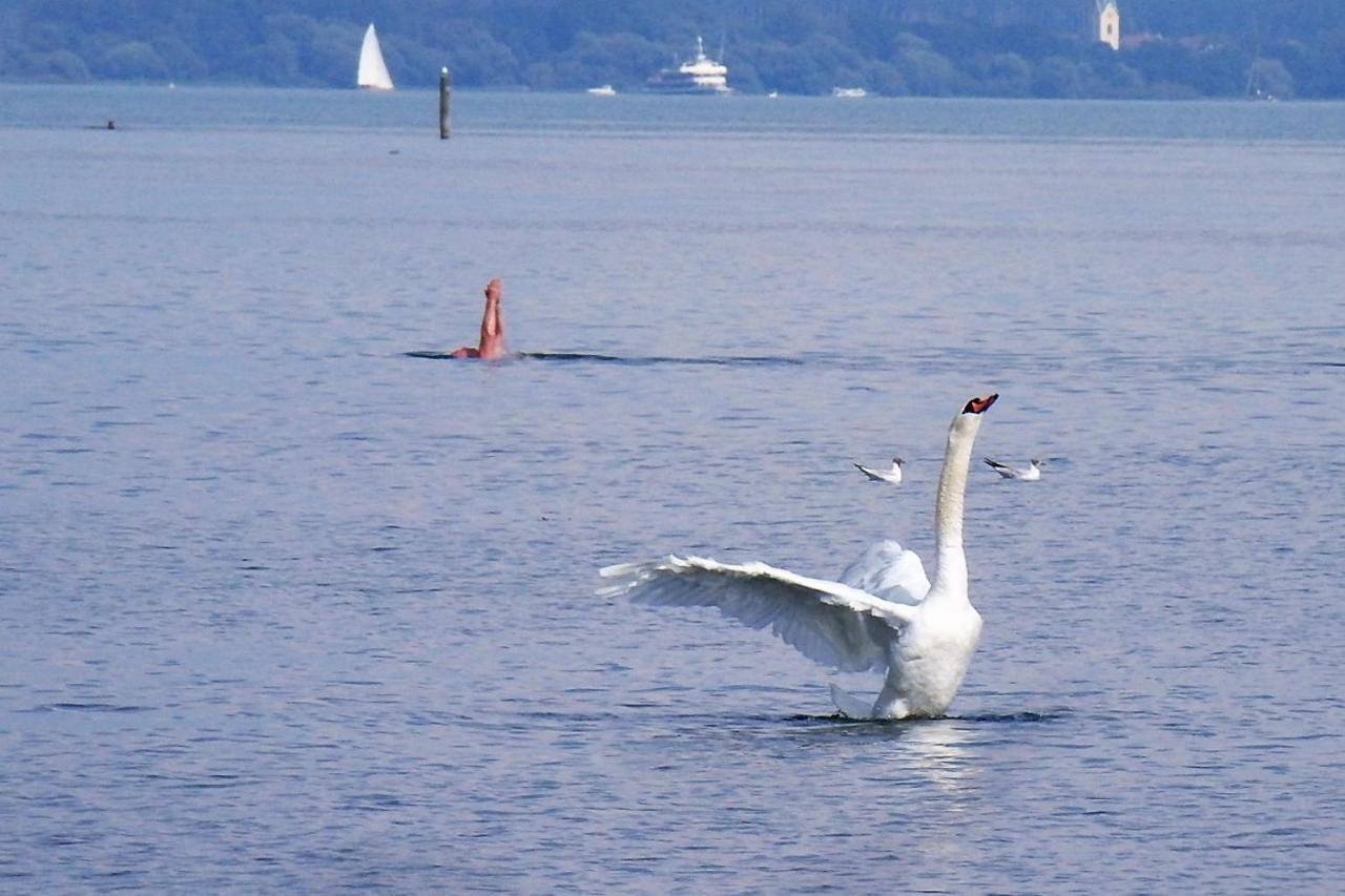 Gaestehaus Zum Landesteg Immenstaad am Bodensee Bagian luar foto