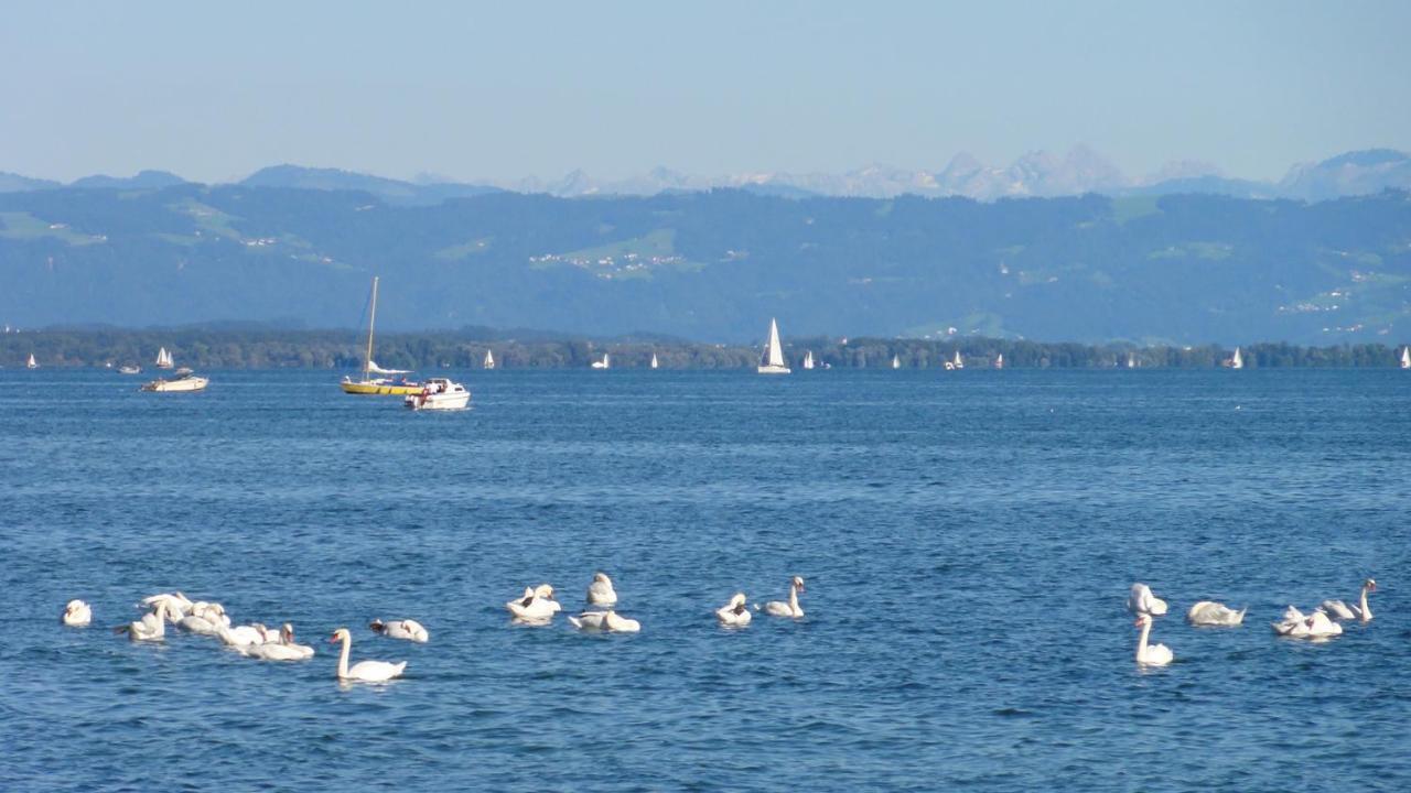 Gaestehaus Zum Landesteg Immenstaad am Bodensee Bagian luar foto
